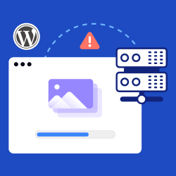 How to Avoid Enormous Network Payloads in WordPress How to Avoid Enormous Network Payloads in WordPress